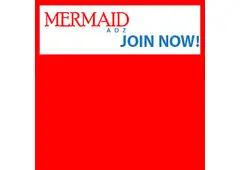 Dive into Success with Mermaid Adz E-Mail!