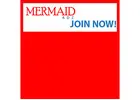Dive into Success with Mermaid Adz E-Mail!